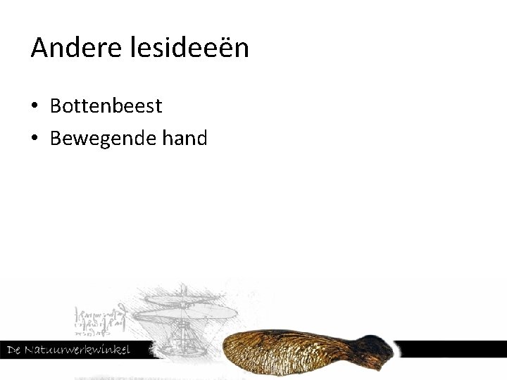 Andere lesideeën • Bottenbeest • Bewegende hand 