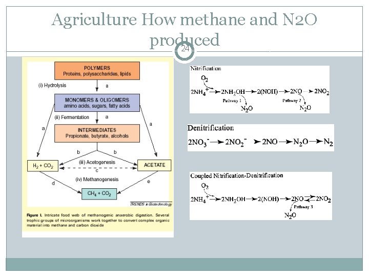 Agriculture How methane and N 2 O produced 24 