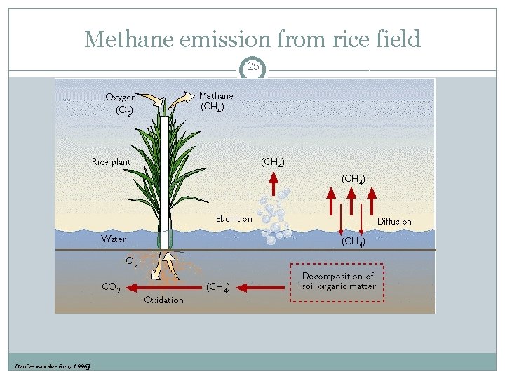 Methane emission from rice field 25 Denier van der Gon, 1996]. 