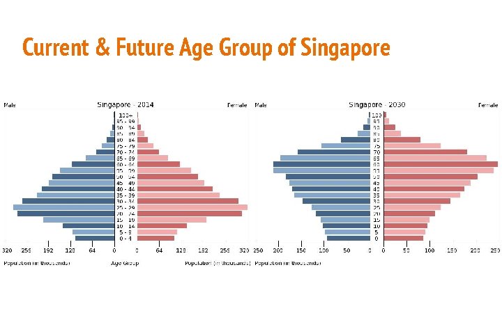Current & Future Age Group of Singapore 