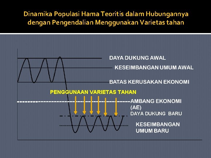 Dinamika Populasi Hama Teoritis dalam Hubungannya dengan Pengendalian Menggunakan Varietas tahan PENGGUNAAN VARIETAS TAHAN