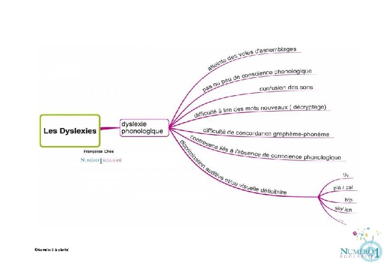 ©Numéro 1 Scolarité 