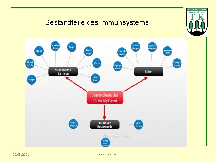 Bestandteile des Immunsystems 09. 03. 2021 Dr. Jörg Epstude 