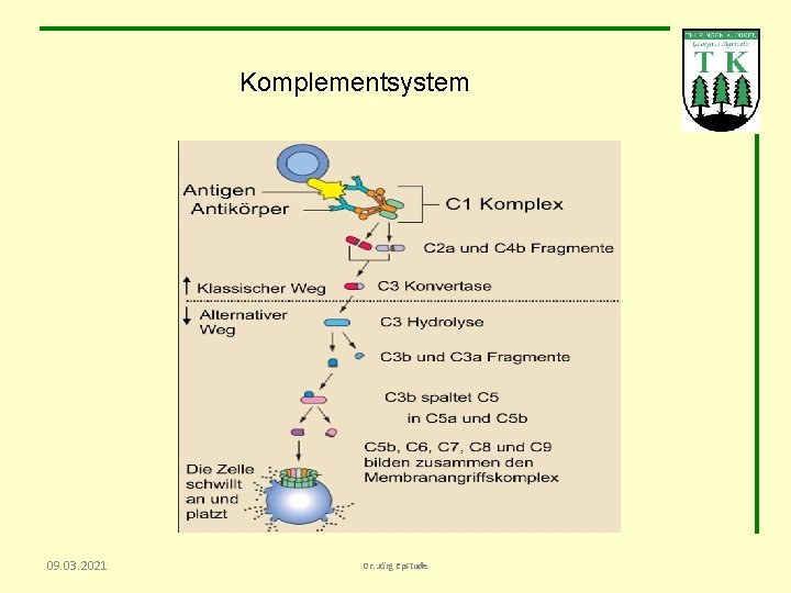 Komplementsystem 09. 03. 2021 Dr. Jörg Epstude 