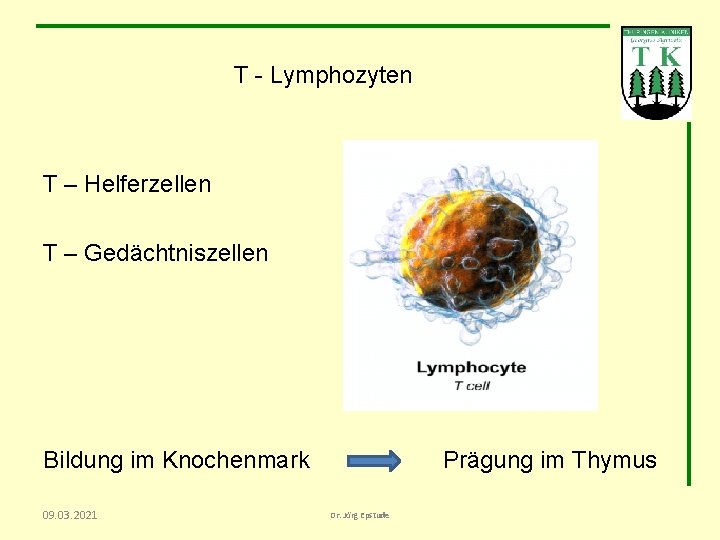 T - Lymphozyten T – Helferzellen T – Gedächtniszellen Bildung im Knochenmark 09. 03.