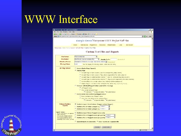 WWW Interface 