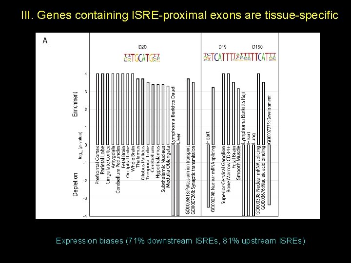 III. Genes containing ISRE-proximal exons are tissue-specific Expression biases (71% downstream ISREs, 81% upstream