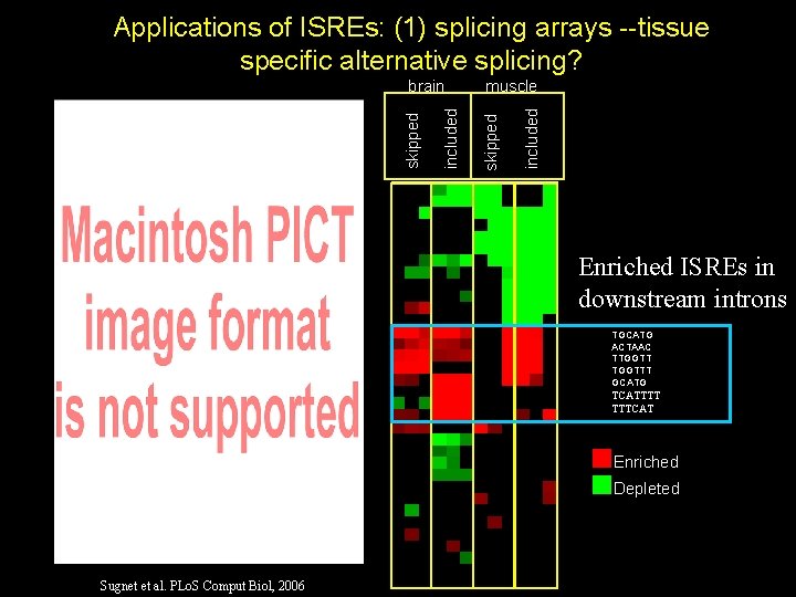 Applications of ISREs: (1) splicing arrays --tissue specific alternative splicing? included muscle skipped included