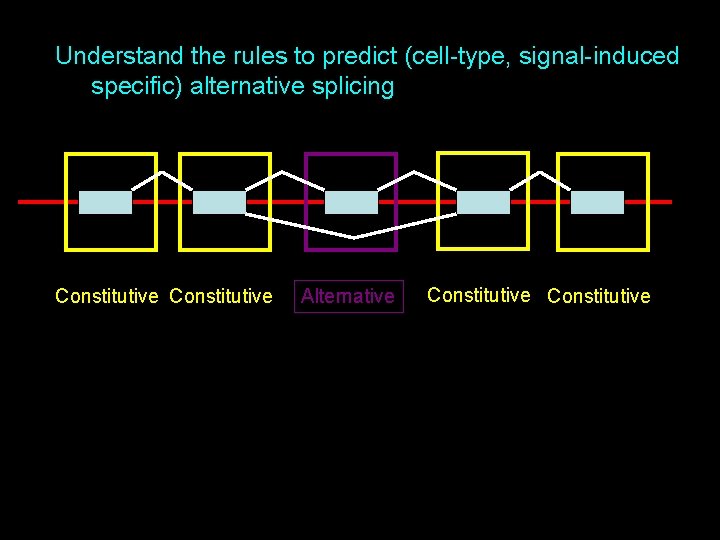Understand the rules to predict (cell-type, signal-induced specific) alternative splicing Constitutive Alternative Constitutive 