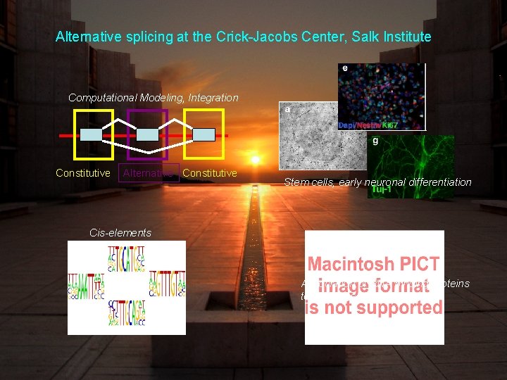 Alternative splicing at the Crick-Jacobs Center, Salk Institute Computational Modeling, Integration Constitutive Alternative Constitutive