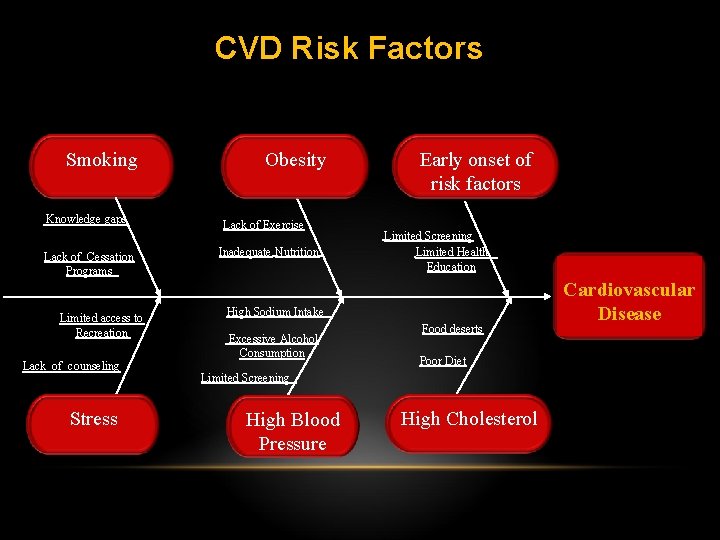 CVD Risk Factors Smoking Knowledge gaps Lack of Cessation Programs Limited access to Recreation