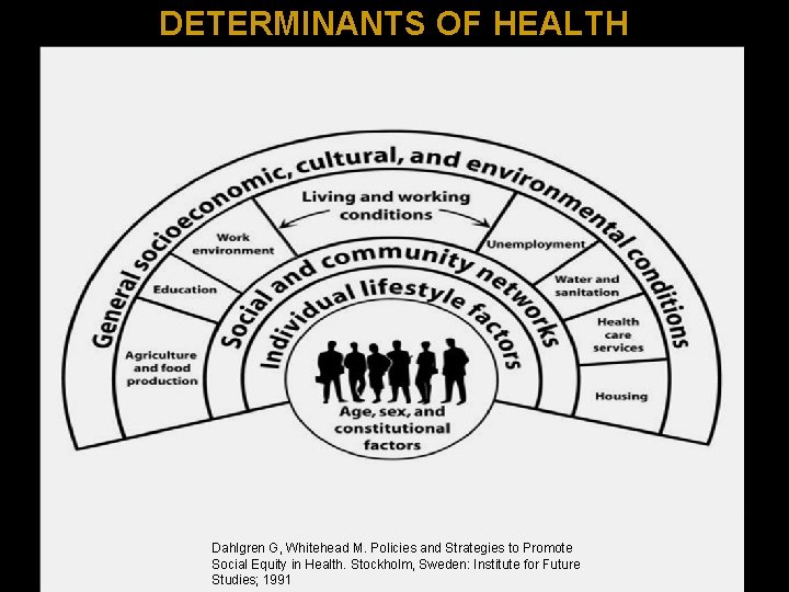 DETERMINANTS OF HEALTH Dahlgren G, Whitehead M. Policies and Strategies to Promote Social Equity
