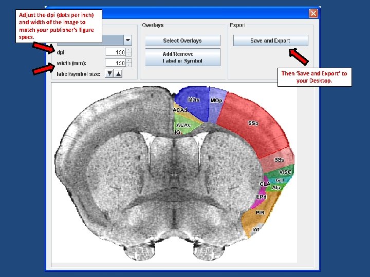 Adjust the dpi (dots per inch) and width of the image to match your