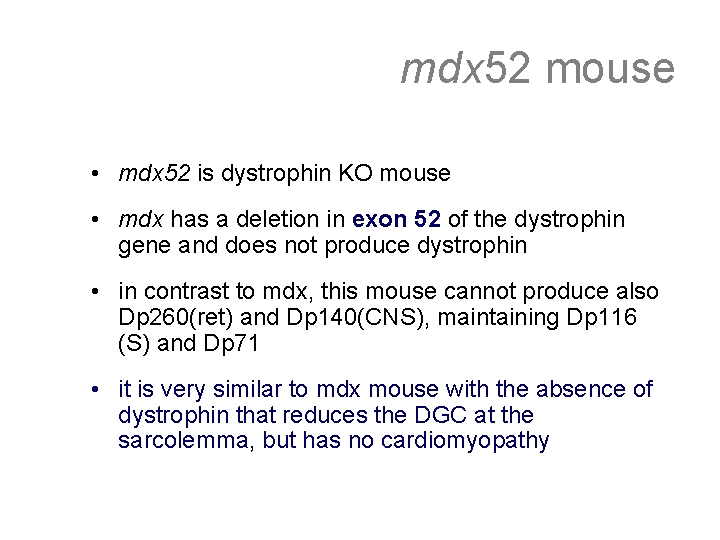 mdx 52 mouse • mdx 52 is dystrophin KO mouse • mdx has a