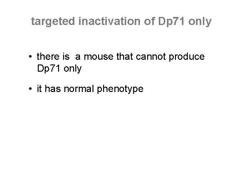 targeted inactivation of Dp 71 only • there is a mouse that cannot produce