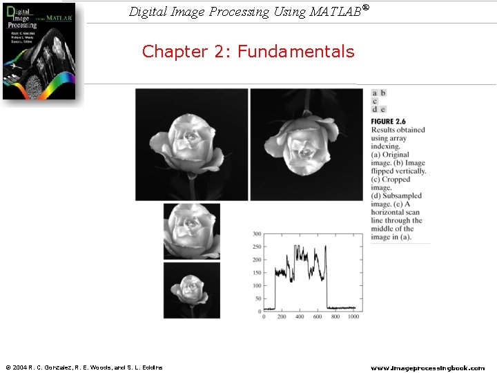 Digital Image Processing Using MATLAB® Chapter 2: Fundamentals © 2004 R. C. Gonzalez, R. Digital Image Processing Using MATLAB® Chapter 2: Fundamentals © 2004 R. C. Gonzalez, R.