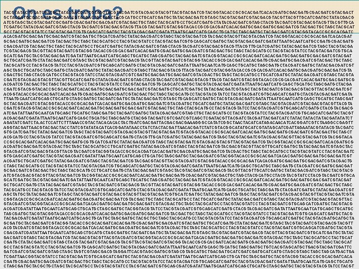 On es troba? TACGTATACTGCATCGATGCTATACGACGATCGTAGCTACGATCGTACGACGTTACGATCGTACGGTACACCGCGCACGATCACACGATGCGACGATCGTACGACT GCTACGATGCGACGATCGTACGACTGCTACGCATGCCTGCATCGATGCTATACGACGATCGTAGCTACGATCGTACGACGTTACGTTGCATCGATGCTATACGACG ATCGTAGCTACGATCGCGATGCGACGATCGTACGACTGCTACGCATGCCTGCATCGATGCTATACGACGATCGTAGCTACGATCGTACGACGTTACGTTGCA TCGATGCTATACGACGATCGTAGCTACGATCGTACGACGTTACGATCGTACGGTACACCGCGCACGATCACACGATGCGACGATCGTACGACTGCTACGCAT GCCTACGTATCCTACGATCGTGCAGCATCGATGCTACGACGATATTAATGCAATCATGCAGCTGCATGCTAGCGATGCTACGACGATCGTACGGTACACCGCGCACGATC ACACGATGCGACGATCGTACGATGCTGCATCGATGCTATACGACGATCGTAGCTACGATCGTACGACGTTACGATCGTACGGTACACCGCGCACGATCACACGAT GCGACGATCGTACGACTGCTACGCATGCCTACGTATCCTACGATCGTGCAGCATCGATGCTACGACGATATTAATGCAATCATGCCGATGCGACGATG CGACGATCGTACGACTGCTACGCATGCCTGCATCGATGCTATACGACGATCGTAGCTACGATCGTACGACGTTACGTTGCATCGATGCTATACGACGATCGTAGCTACGA TCGTACGACGTTACGATCGTACGGTACACCGCGCACGATCACACGATGCGACGATCGTACGACTGCTACGCATGCCTACGTATCCTACGATCGTGCA GCATCGATGCTACGACGATATTAATGCAATCATGCAGCTGCATGCTAGCGATGCTACGACGATCGTACGGTACACCGCGCACGATCACACGATGCGACGATCGTACGAT GCTGCATCGATGCTATACGACGATCGTAGCTACGATCGTACGACGTTACGATCGTACGGTACACCGCGCACGATCACACGATGCGACGATCGTACGACTGCTAGC