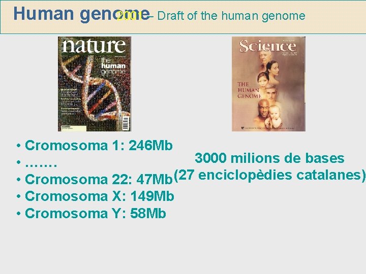 2001 – Draft of the human genome Human genome • Cromosoma 1: 246 Mb