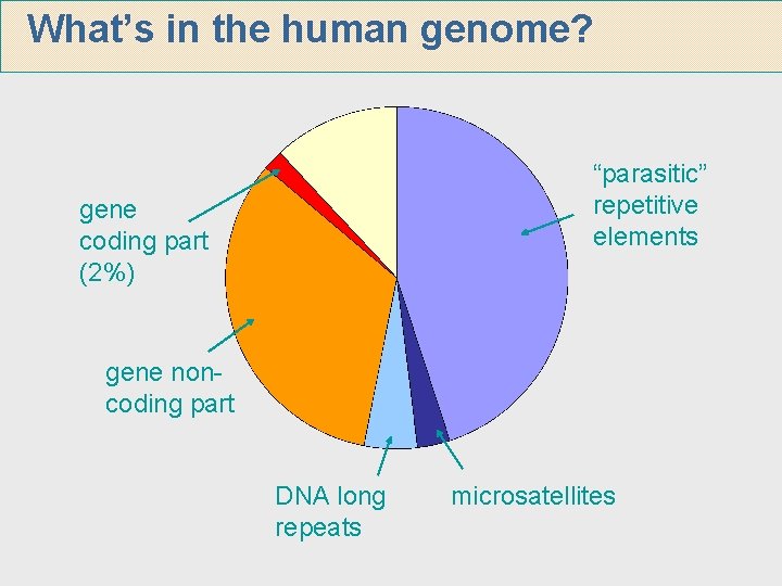What’s in the human genome? “parasitic” repetitive elements gene coding part (2%) gene noncoding