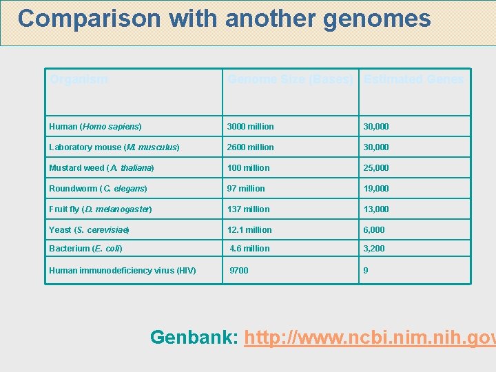 Comparison with another genomes Organism Genome Size (Bases) Estimated Genes Human (Homo sapiens) 3000