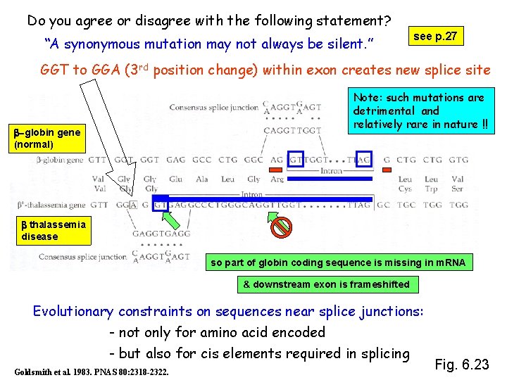 Do you agree or disagree with the following statement? “A synonymous mutation may not