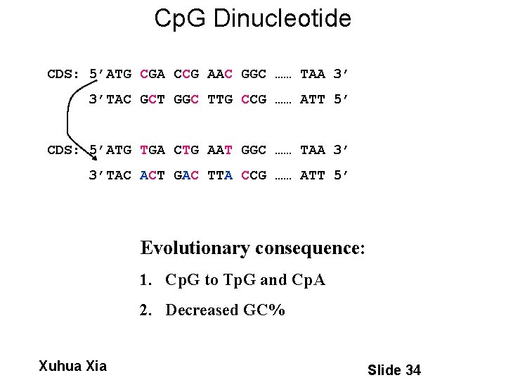 Cp. G Dinucleotide CDS: 5’ATG CGA CCG AAC GGC …… TAA 3’ 3’TAC GCT