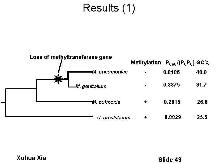Results (1) Loss of methyltransferase gene M. pneumoniae M. genitalium M. pulmonis U. urealyticum