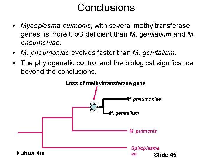 Conclusions • Mycoplasma pulmonis, with several methyltransferase genes, is more Cp. G deficient than