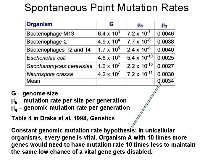 Spontaneous Point Mutation Rates G – genome size µb – mutation rate per site