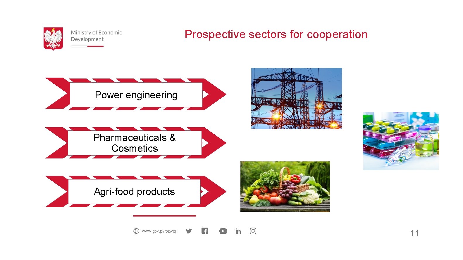 Prospective sectors for cooperation Power engineering Pharmaceuticals & Cosmetics Agri-food products www. gov. pl/rozwoj