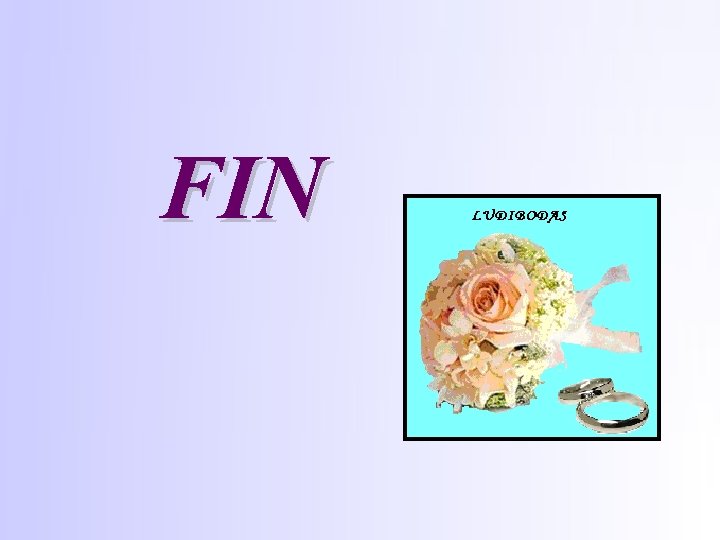 FIN 