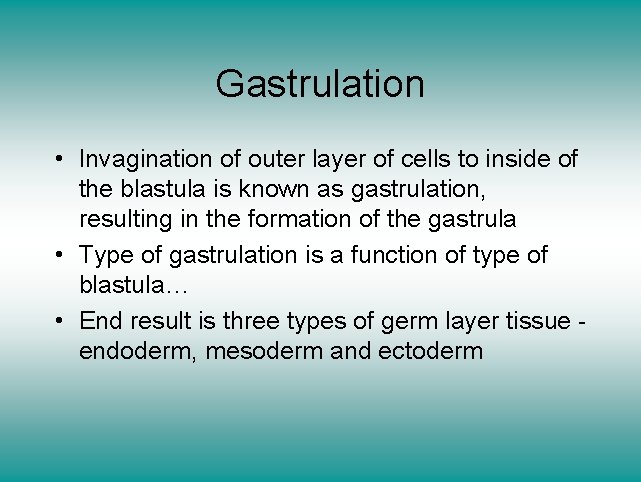 Gastrulation • Invagination of outer layer of cells to inside of the blastula is