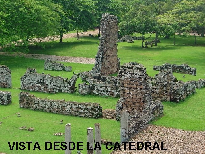 VISTA DESDE LA CATEDRAL 