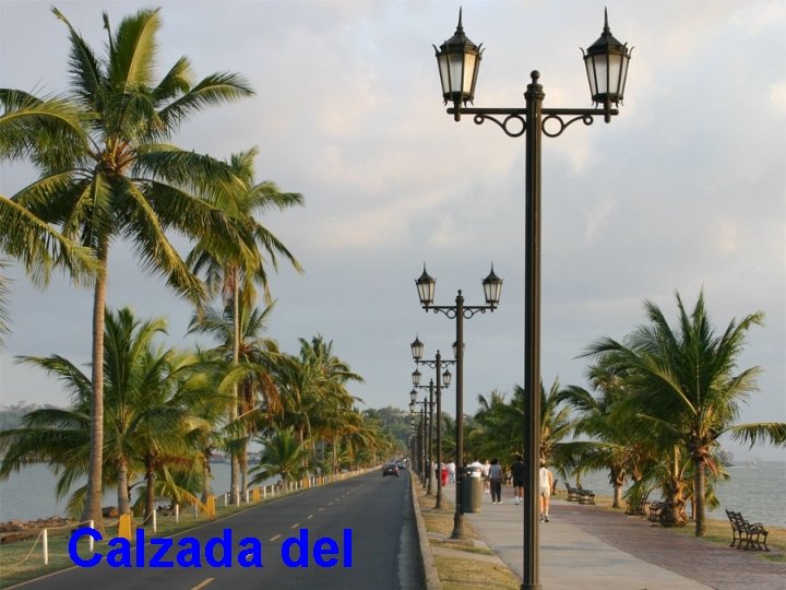 Calzada del 