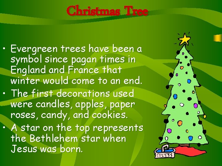 Christmas Tree • Evergreen trees have been a symbol since pagan times in England Christmas Tree • Evergreen trees have been a symbol since pagan times in England