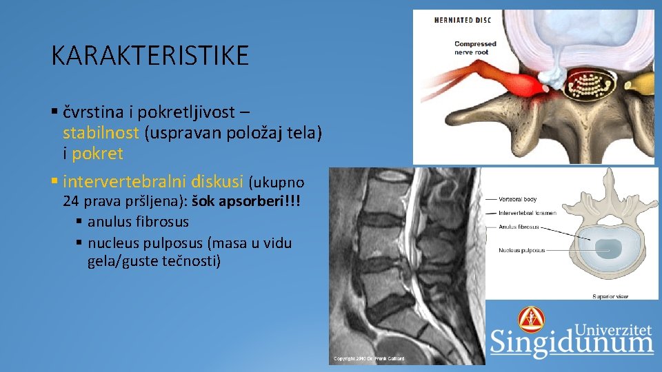 KARAKTERISTIKE § čvrstina i pokretljivost – stabilnost (uspravan položaj tela) i pokret § intervertebralni