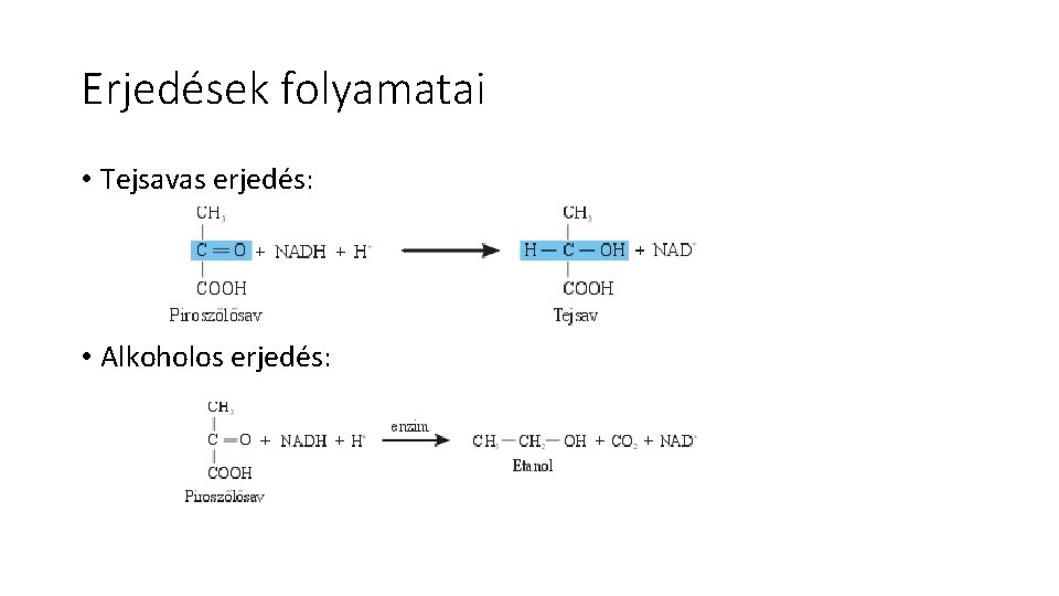 Erjedések folyamatai • Tejsavas erjedés: • Alkoholos erjedés: 