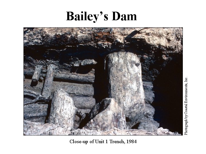 Photograph by Coastal Environments, Inc. Bailey’s Dam Close-up of Unit 1 Trench, 1984 