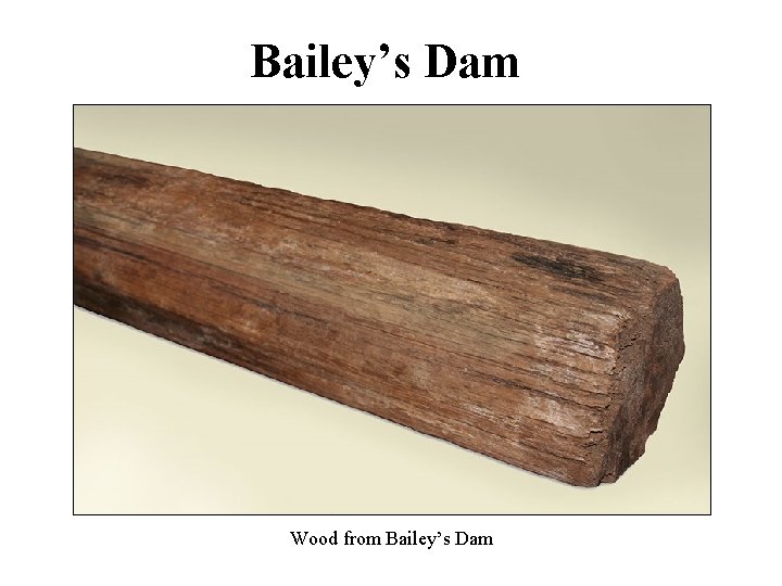 Bailey’s Dam Wood from Bailey’s Dam 