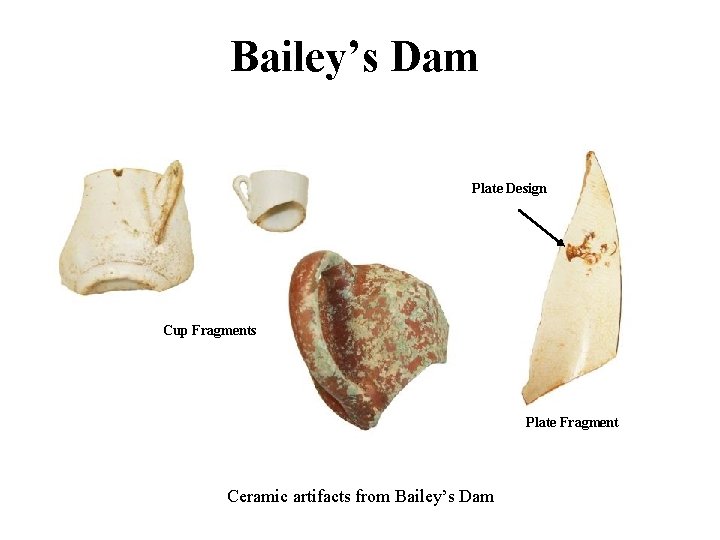 Bailey’s Dam Plate Design Cup Fragments Plate Fragment Ceramic artifacts from Bailey’s Dam 