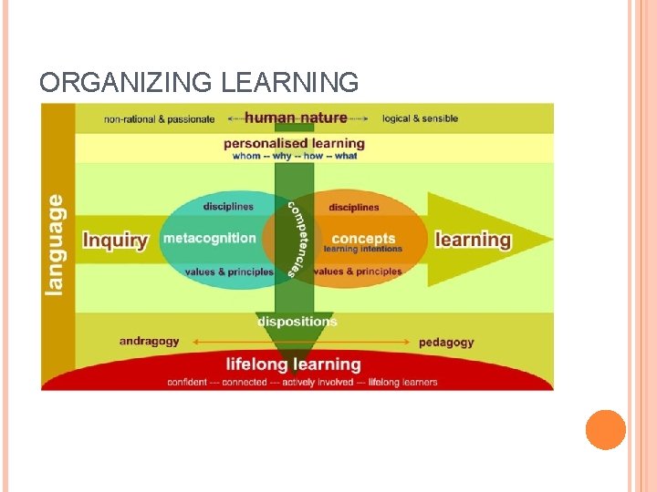 ORGANIZING LEARNING 