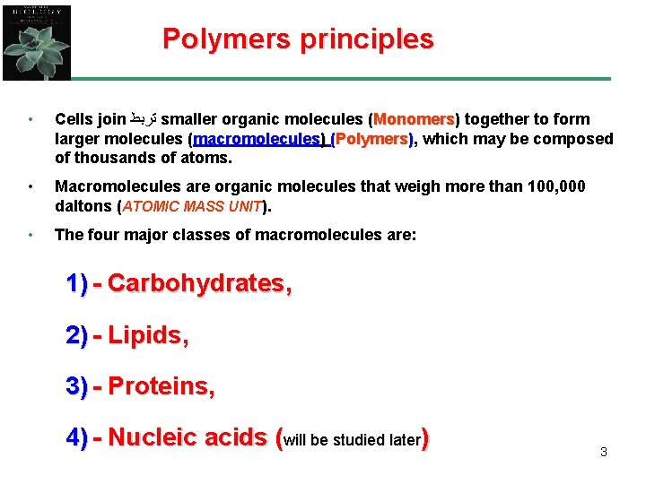 Polymers principles • Cells join ﺗﺮﺑﻂ smaller organic molecules (Monomers) Monomers together to form