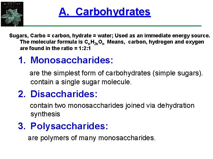 A. Carbohydrates Sugars, Carbo = carbon, hydrate = water; Used as an immediate energy