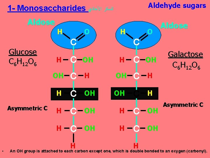 Aldehyde sugars 1 - Monosaccharides ﺍﻟﺴﻜﺮ ﺍﻷﺤﺎﺩﻱ Aldose H Glucose C 6 H 12