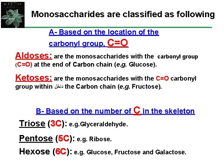 Monosaccharides are classified as following A- Based on the location of the carbonyl group,