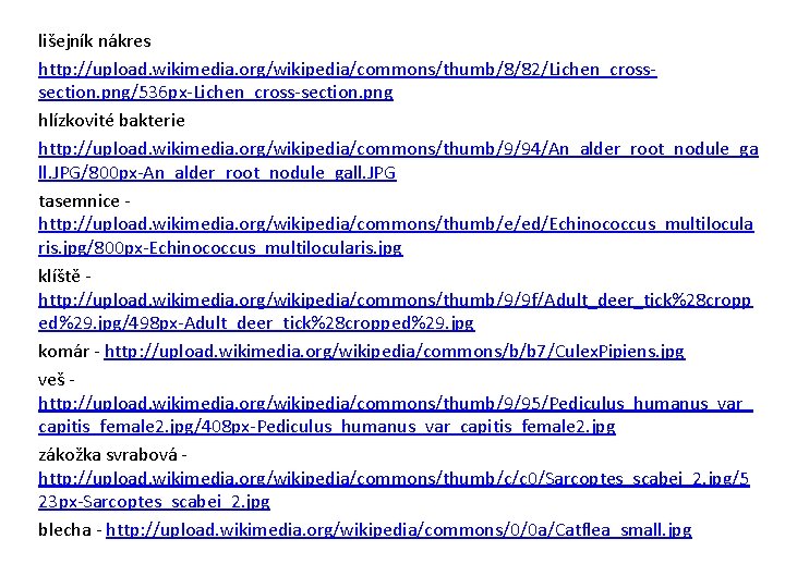 lišejník nákres http: //upload. wikimedia. org/wikipedia/commons/thumb/8/82/Lichen_crosssection. png/536 px-Lichen_cross-section. png hlízkovité bakterie http: //upload. wikimedia.