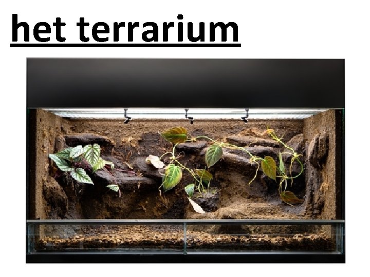 het terrarium 