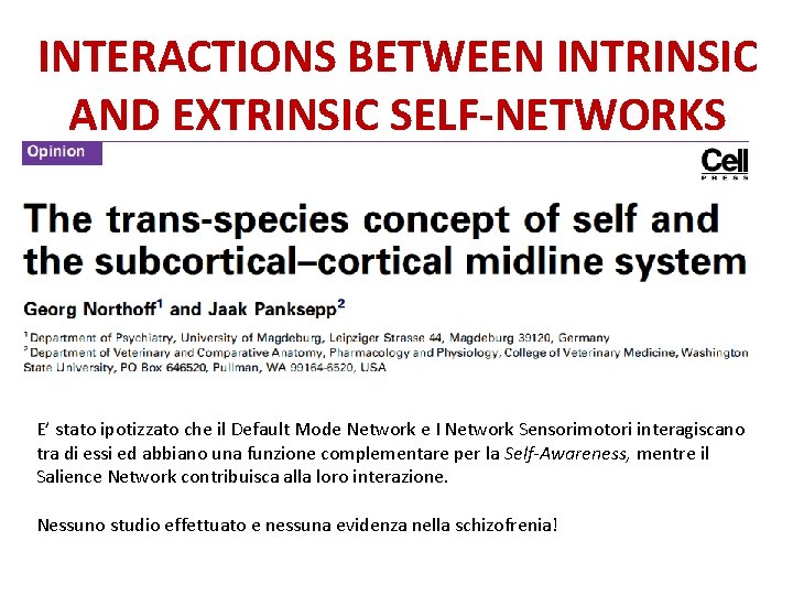 INTERACTIONS BETWEEN INTRINSIC AND EXTRINSIC SELF-NETWORKS E’ stato ipotizzato che il Default Mode Network
