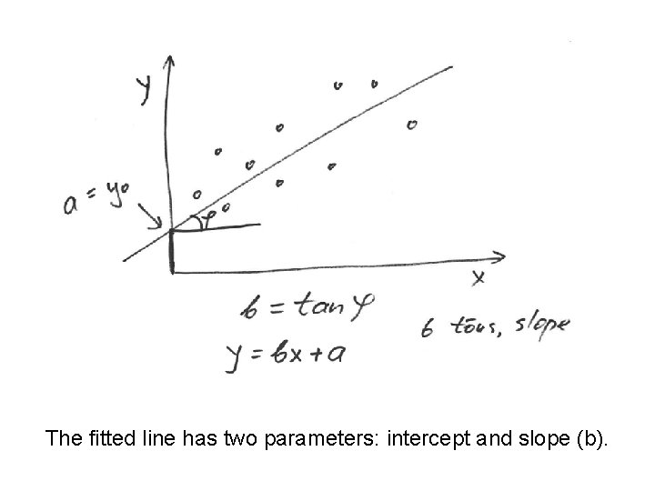 The fitted line has two parameters: intercept and slope (b). 