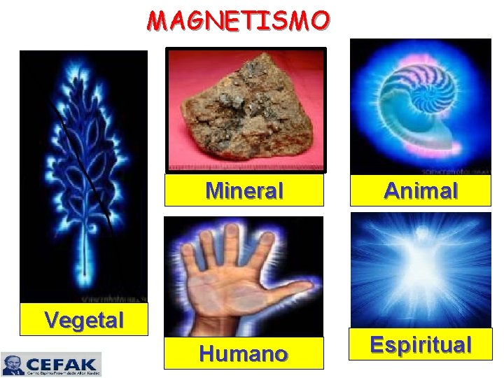 MAGNETISMO Mineral Animal Humano Espiritual Vegetal 